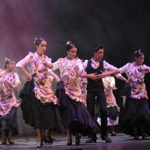 Fotografía de Talleres Danza Española (galería 2) - Conservatorio de Danza